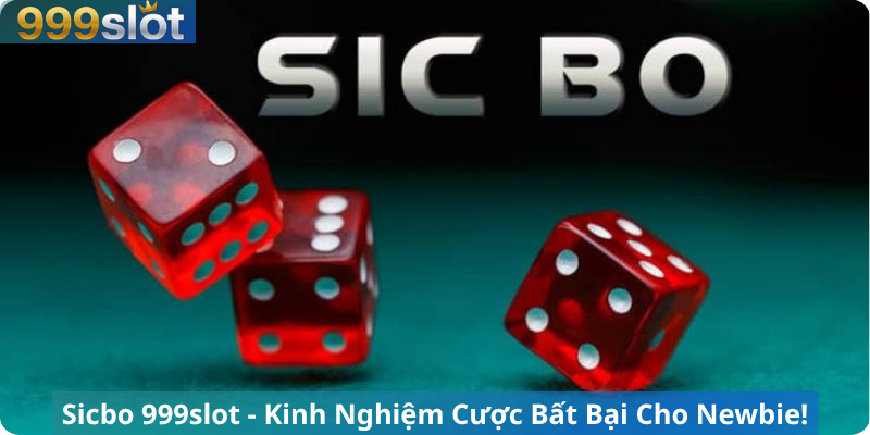 Sicbo 999slot - Kinh Nghiệm Cược Bất Bại Cho Newbie!