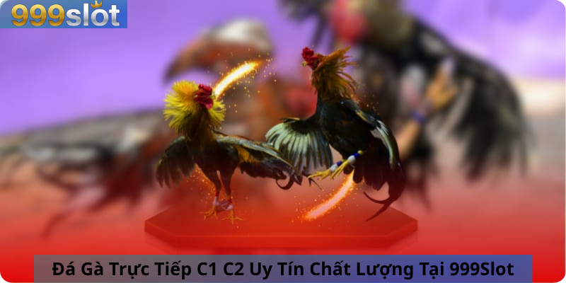 Đá Gà Trực Tiếp C1 C2 Uy Tín Chất Lượng Tại 999Slot