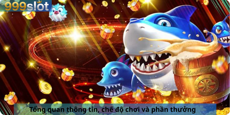 Tổng quan thông tin, chế độ chơi và phần thưởng 