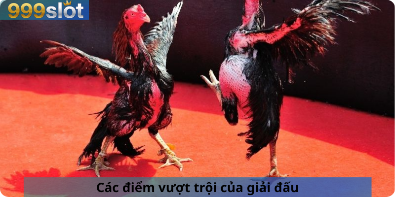 Các điểm vượt trội của giải đấu